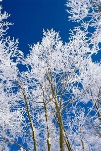 Sneeuw Wallpapers Iphone 