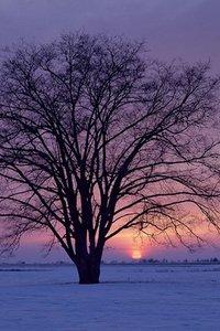 Sneeuw Wallpapers Iphone 
