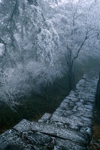 Sneeuw Wallpapers Iphone 