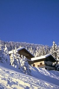 Sneeuw Wallpapers Iphone 