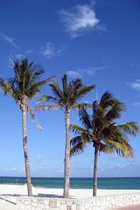 Strand Wallpapers Iphone 