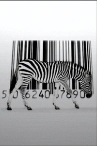 Zebra Wallpapers Iphone 