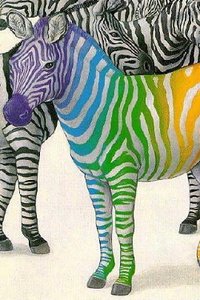 Zebra Wallpapers Iphone 