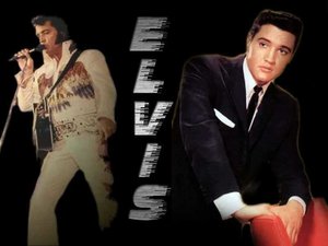 Sterren Elvis Wallpapers 