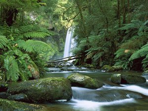 Australie Wallpapers Waterval Riviertje