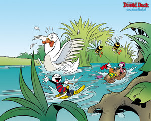 Wallpapers Donald duck en vrienden 