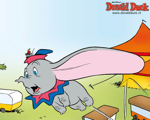 Wallpapers Donald duck en vrienden 