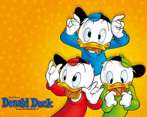 Wallpapers Donald duck en vrienden 