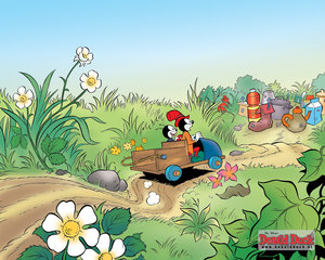 Wallpapers Donald duck en vrienden 