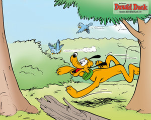 Wallpapers Donald duck en vrienden 