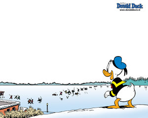 Wallpapers Donald duck en vrienden 