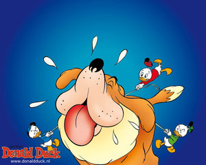 Wallpapers Donald duck en vrienden 