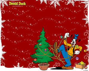 Wallpapers Donald duck en vrienden 