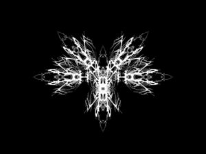 Wallpapers Donker 