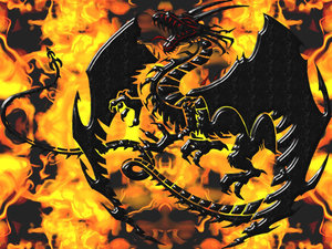 Draken Wallpapers 