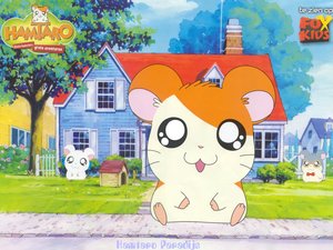 Hamtaro Wallpapers 