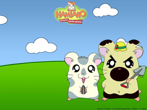 Hamtaro Wallpapers 