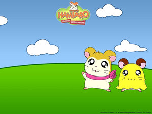 Hamtaro Wallpapers 