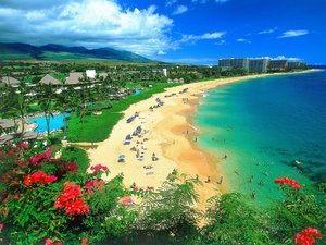 Hawaii Wallpapers 