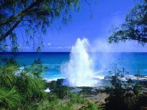 Hawaii Wallpapers 