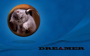 Katten Wallpapers 