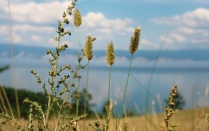 Wallpapers Landschap 