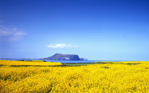 Wallpapers Landschap 