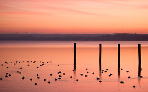 Wallpapers Landschap Wadden Met Paaltjes