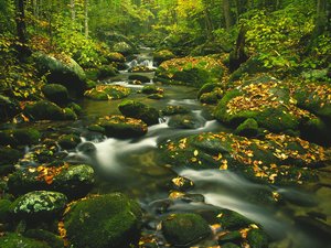 Wallpapers Rivieren 
