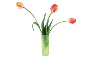 Tulpen Wallpapers 