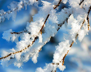 Winter Wallpapers 