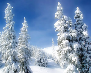 Winter Wallpapers 