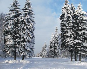 Winter Wallpapers 