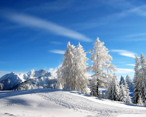 Winter Wallpapers 