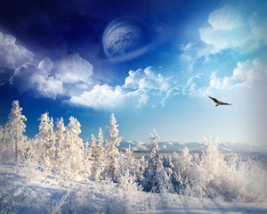 Winter Wallpapers 