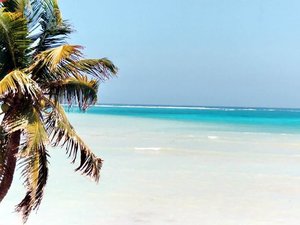 Wallpapers Zee en strand 