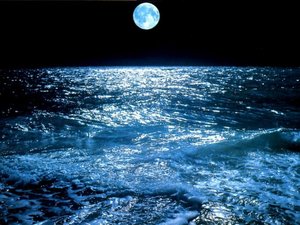 Wallpapers Zee en strand 