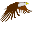 Vogel plaatjes Arend 