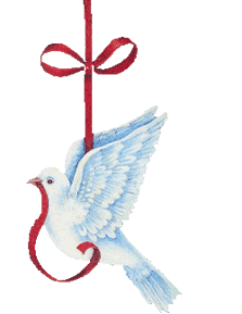 Duiven Vogel plaatjes 