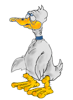 Eenden Vogel plaatjes 