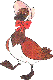Eenden Vogel plaatjes 