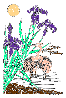 Flamingo Vogel plaatjes 