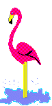 Flamingo Vogel plaatjes 