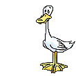 Ganzen Vogel plaatjes 