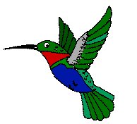 Vogel plaatjes Kolibrie 