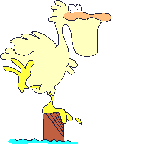 Vogel plaatjes Pelikanen 