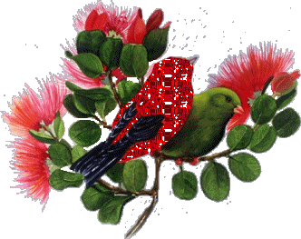 Vogel plaatjes Sijsje 