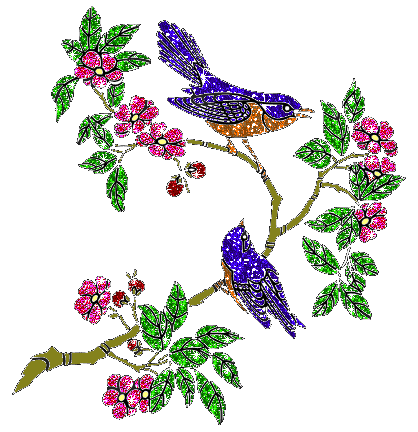Vogel plaatjes Sijsje 