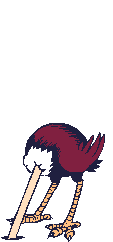 Vogel plaatjes Struisvogel 