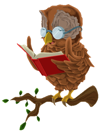 Uilen Vogel plaatjes 